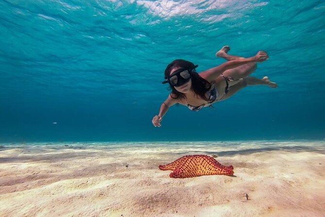 Cozumel Snorkeling Tour: Palancar, Columbia and El Cielo Reefs - Why this four-hour Cozumel trip works well