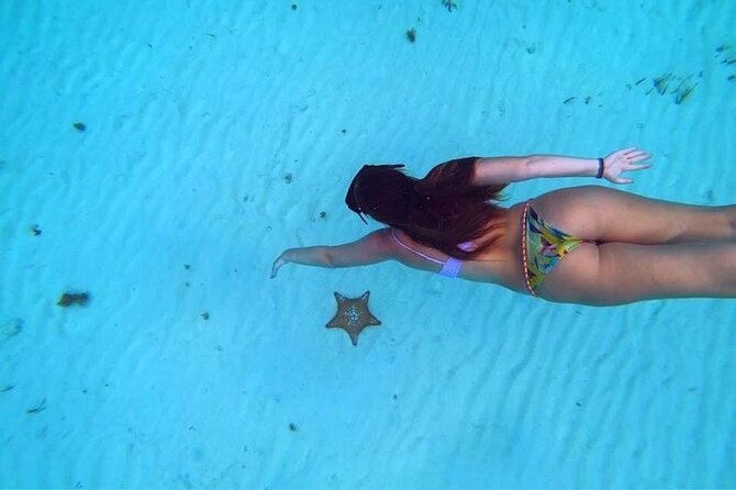 Cozumel Snorkeling Tour: Palancar, Columbia and El Cielo Reefs - Columbia Reef and the coral formations