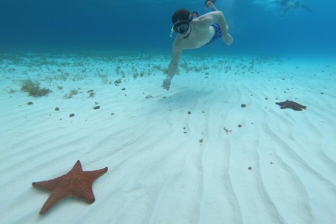 Cozumel Snorkeling Tour: Palancar, Columbia and El Cielo Reefs - Other reef names in the route