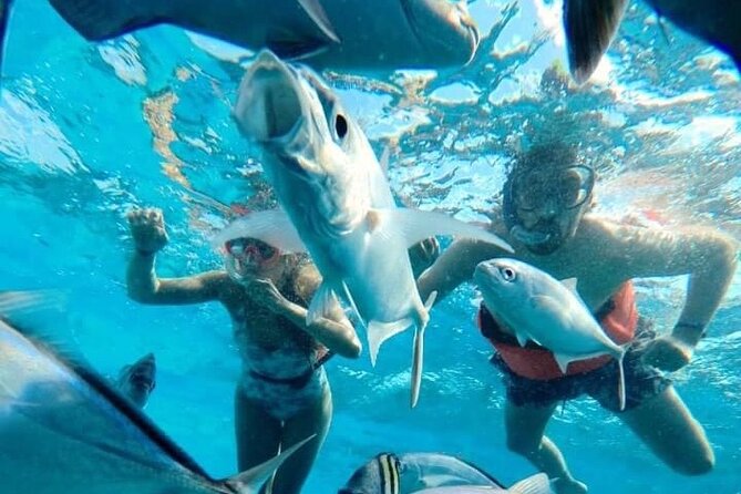 Cozumel Snorkeling Tour: Palancar, Columbia and El Cielo Reefs - How much value do you get?