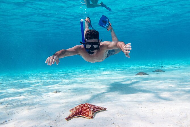 Cozumel Starfish and Tropical Reef Snorkeling by Powerboat with Lunch - From Cancun hotels to Cozumel waters