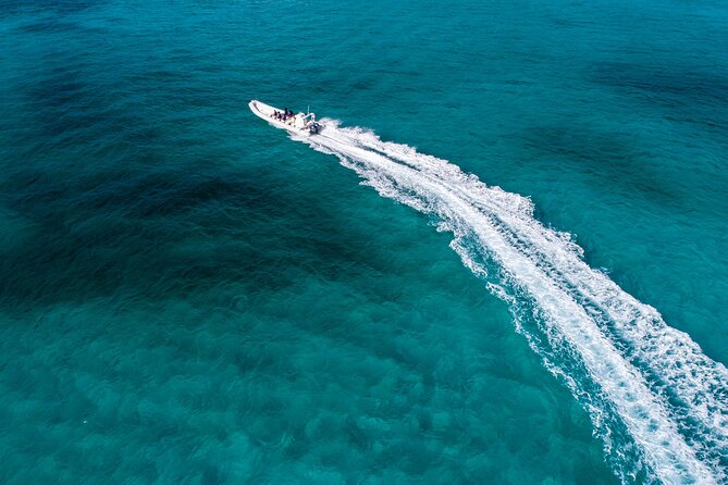 Cozumel Starfish and Tropical Reef Snorkeling by Powerboat with Lunch - El Cielo, the starfish sandbar