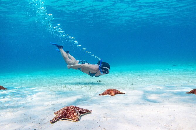 Cozumel Starfish and Tropical Reef Snorkeling by Powerboat with Lunch - Lunch on the boat