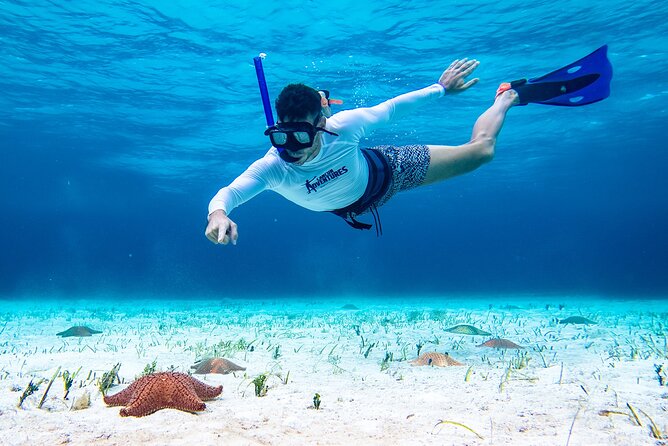 Cozumel Starfish and Tropical Reef Snorkeling by Powerboat with Lunch - What to pack and how to prepare