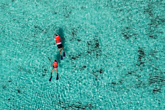 Cozumel: VIP Access Pass at KUZÁ Beach & Adventure Park - Is $126.65 a Fair Price?