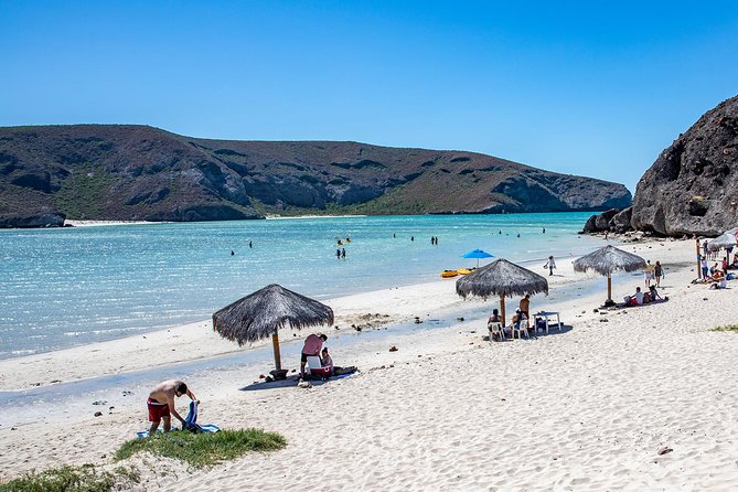 Day Trip to La Paz & Balandra Beach from Cabo San Lucas - Todos Santos and the Hotel California photo stop