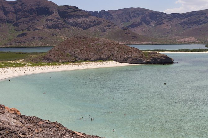 Day Trip to La Paz & Balandra Beach from Cabo San Lucas - La Paz begins at the Malecón