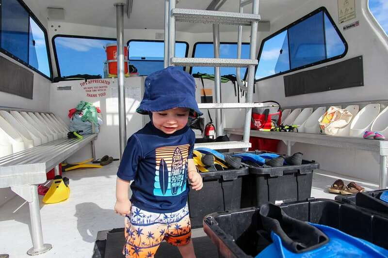 Destin: Dolphin Watching Cruise - Who will enjoy this cruise most?