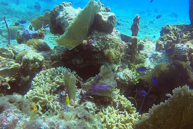 Discover Scuba Diving - What the best instructors do well