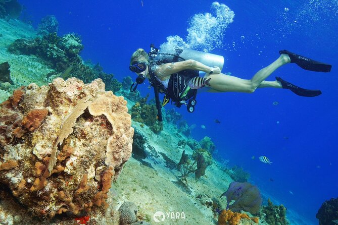 Discover Scuba Diving - Timing, cancellation, and small practical tips