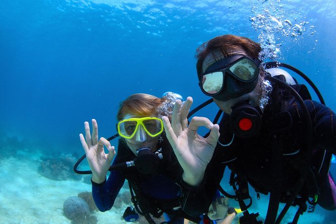 Discover Scuba Diving & Beach Club with Transportation In Riviera Maya - What the $150 price really covers
