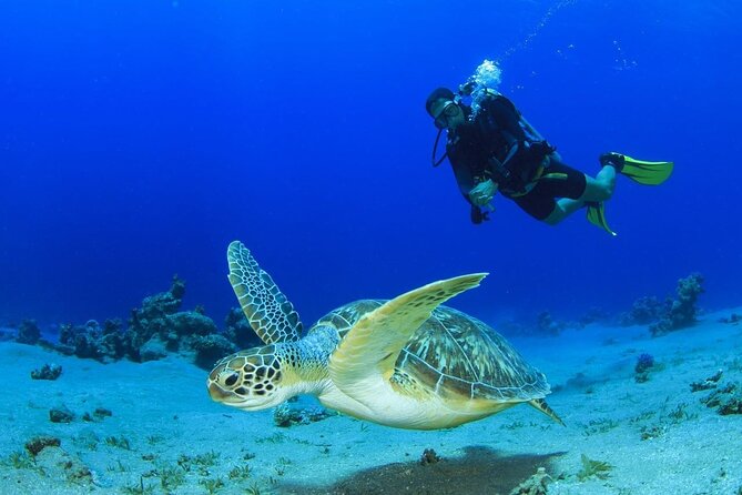 Discover Scuba Diving & Beach Club with Transportation In Riviera Maya - Maroma Beach gives the outing breathing room