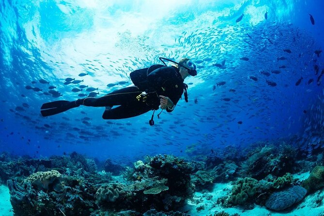 Discover Scuba Diving & Beach Club with Transportation In Riviera Maya - Shared pickup and the timing you need