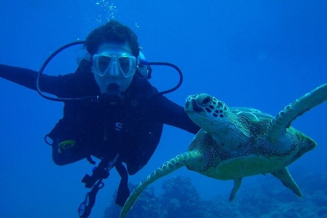 Discover Scuba Diving & Beach Club with Transportation In Riviera Maya - Who should book this beginner scuba program