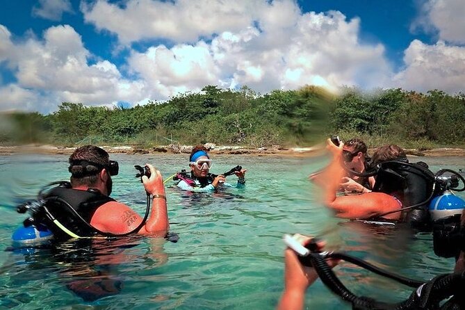 Discover Scuba Diving in Cozumel Paradise Reef - What you get for the price