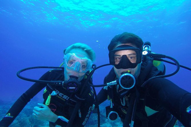 Discover Scuba Diving in Tulum - Why Casa Cenote works for a first scuba outing