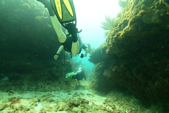 Discover Scuba Diving in Tulum - Equipment practice and the first breath underwater