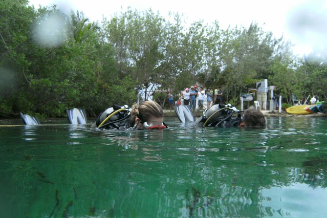 Discover Scuba Diving in Tulum - The 30 to 40-minute Casa Cenote session
