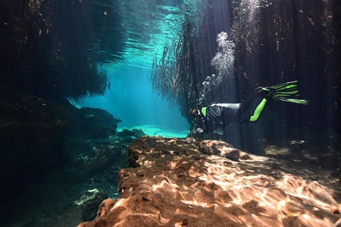 Discover Scuba Diving in Tulum - Who should book this Tulum experience
