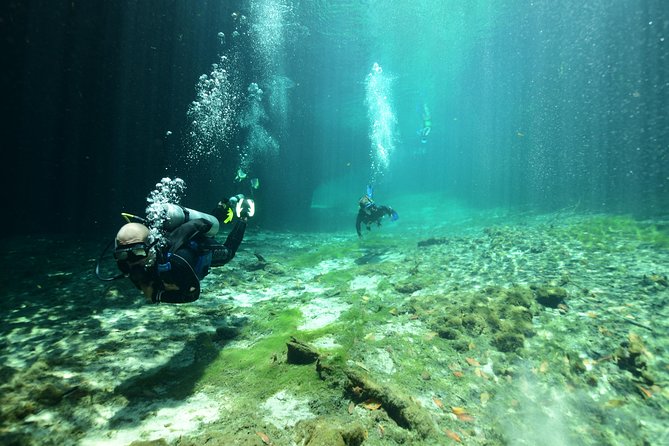 Discover Scuba Diving in Tulum - Starting at Agua Clara Diving Tulum at 8:30 a.m.
