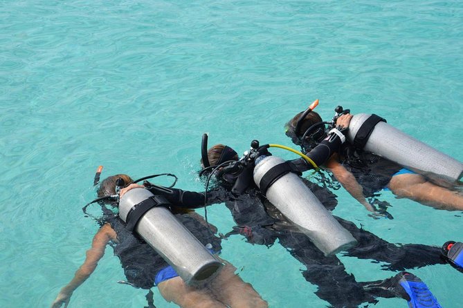 Discovery Scuba Dive. - Key points to know before booking