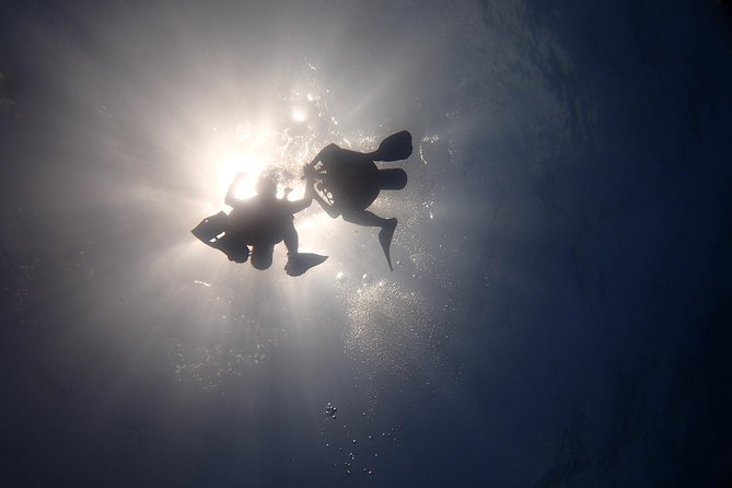 Diving in the Mexican Caribbean for Beginners | 2 Tanks 2 Dives | All Inclusive - The guide’s role when nerves appear