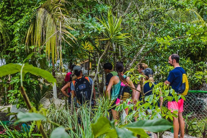 E-Bike Adventure in Cozumel - West Side Ride N' Snorkel - Snorkeling at Sky Reef or Bahía de Uvas