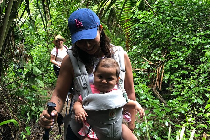 EcoHike to private beach, Jungle Walk to see plants & animals - Starting at C. Sábalo 7 in Sayulita