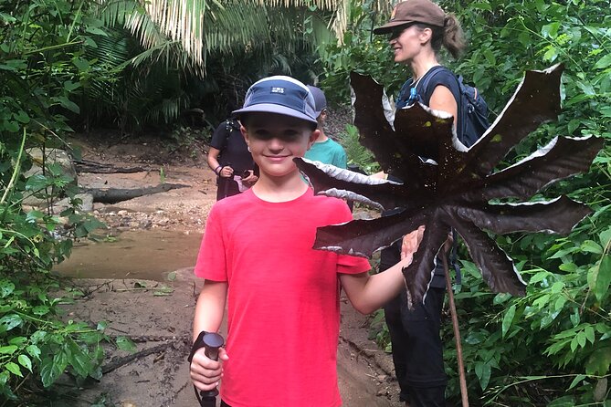 EcoHike to private beach, Jungle Walk to see plants & animals - The value of $33.22