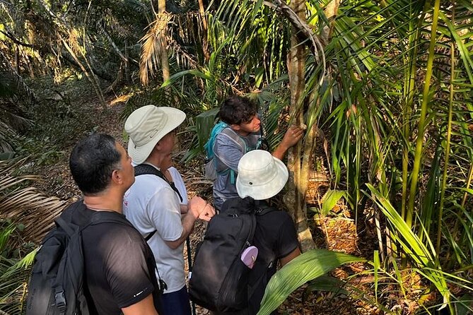 EcoHike to private beach, Jungle Walk to see plants & animals - What to bring for a smoother hike