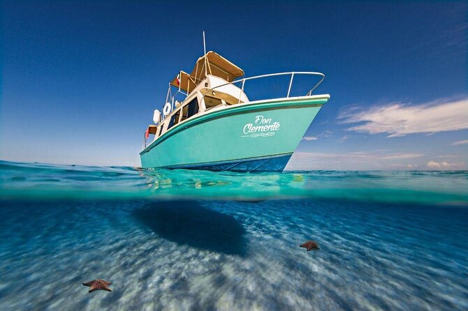 El Cielo Cozumel Snorkeling Tour - All-Inclusive - Palancar Reef and the main snorkeling stops