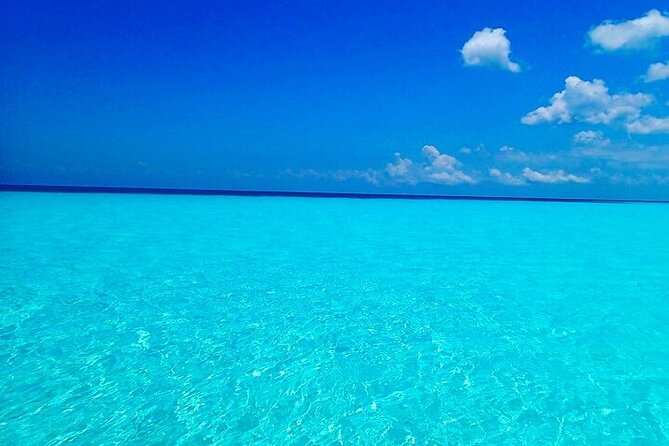 El Cielo Cozumel Snorkeling Tour - All-Inclusive - Group size, communication, and access