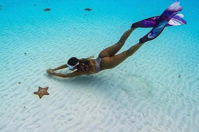 El Cielo Cozumel Snorkeling Tour - All-Inclusive - Who should book this Cozumel excursion?