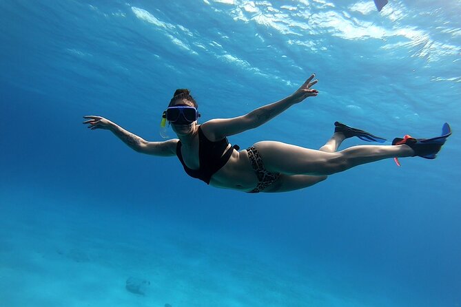 El Cielo Cozumel Snorkeling tour by Private Boat - What the $789 private price really buys