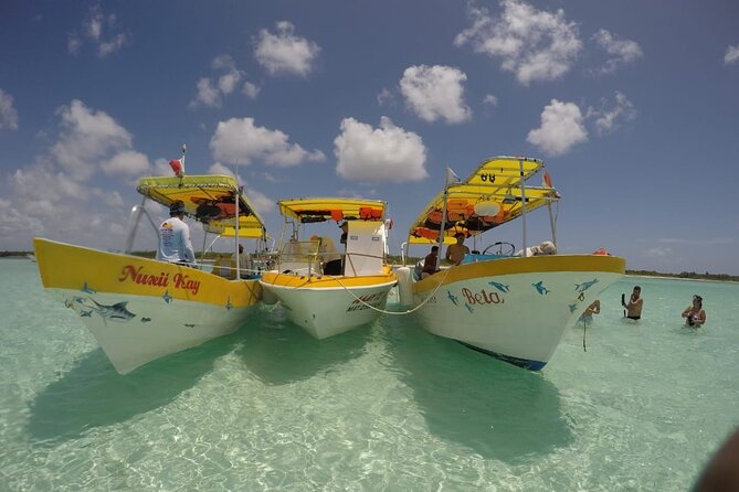 El Cielo Cozumel Snorkeling tour by Private Boat - El Cielo: the starfish stop