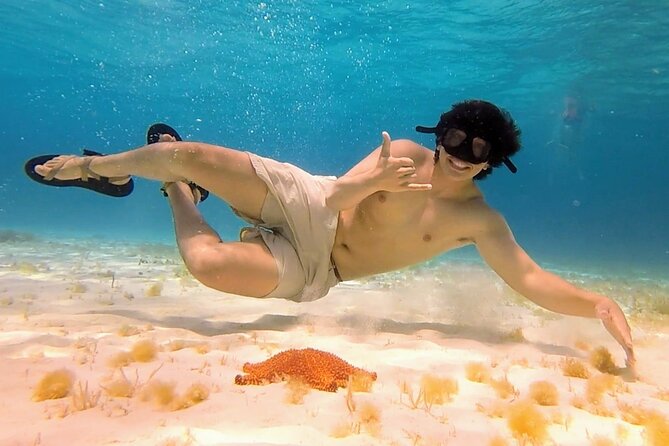 El Cielo Cozumel Snorkeling tour by Private Boat - Ceviche, beer, and the floating snack stop