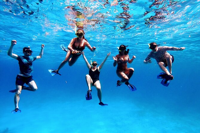 El Cielo Cozumel Snorkeling tour by Private Boat - How families and nervous swimmers are treated