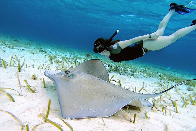 El Cielo Cozumel Snorkeling tour by Private Boat - Leaving Marina Cozumel ASIPONA