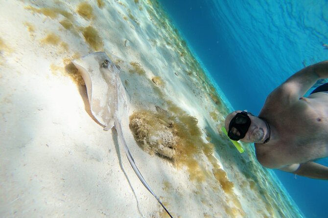El Cielo Cozumel Snorkeling trip by Catamaran - The crew is often the strongest part