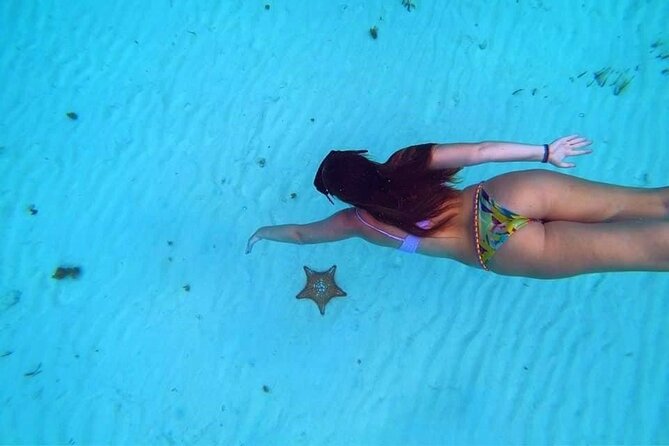 El Cielo Cozumel Snorkeling trip by Catamaran - El Cielo and El Cielito: starfish, rays, and shallow water