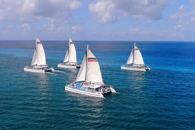 El Cielo, Palancar Snorkel & Beach Party Experience - Private beach lunch, loungers, and the aqua park
