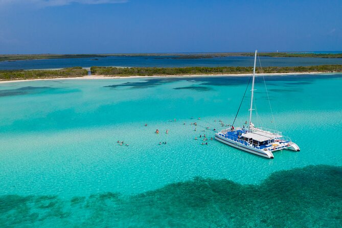 El Cielo, Palancar Snorkel & Beach Party Experience - Reef snorkeling at Palancar or another Cozumel site