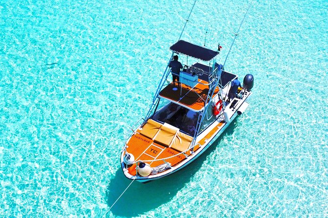 El Cielo Snorkel by Private Boat - Paradise Reef and the marine life around Cozumel