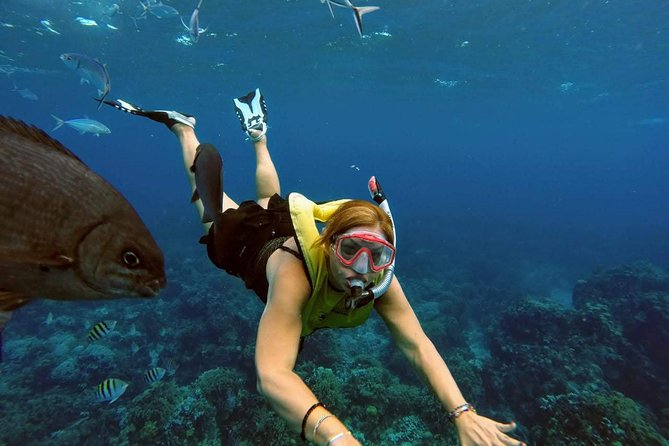 El Cielo Snorkel by Private Boat - El Cielo conditions and the weather gamble