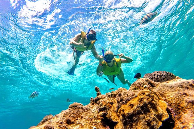 El Cielo Snorkel by Private Boat - Ceviche, fruit, margaritas, and a floating lunch