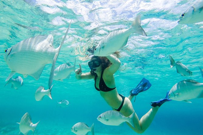 El Cielo Snorkel by Private Boat - Meeting at Tortugas Snorkel Center