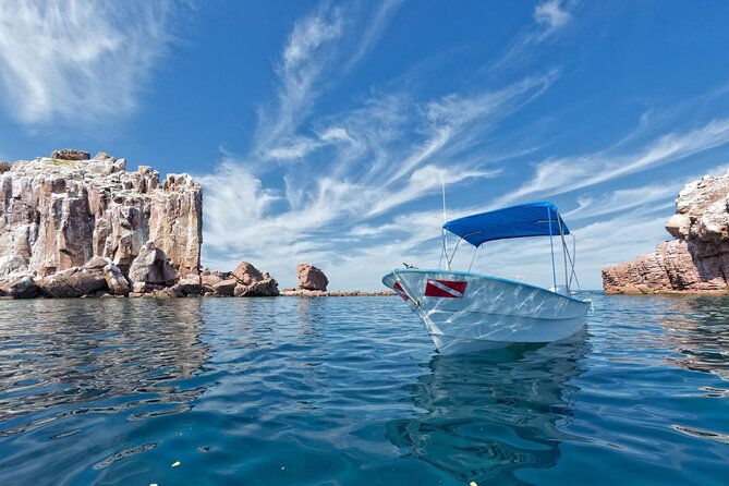 Espiritu Santo Island Snorkel & Sea Lion Adventure - The five things to know before you book