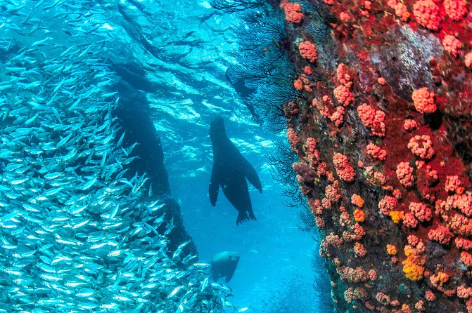 Espiritu Santo Island Snorkel & Sea Lion Adventure - The return route and Balandra views