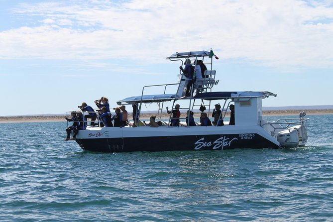 Espiritu Santo Island Snorkel & Sea Lion Adventure - Is $145 a fair price?