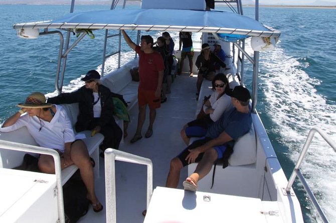 Espiritu Santo Island Snorkel & Sea Lion Adventure - Who should book this Espiritu Santo tour?